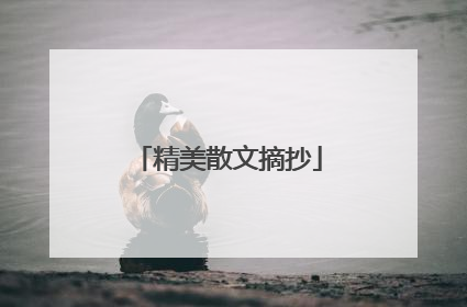 精美散文摘抄