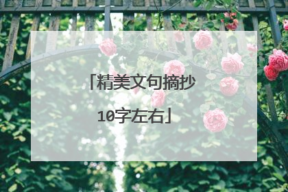 精美文句摘抄10字左右