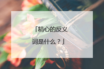 精心的反义词是什么?