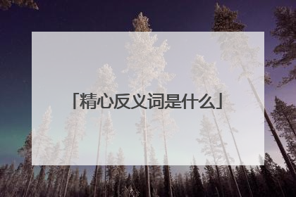 精心反义词是什么