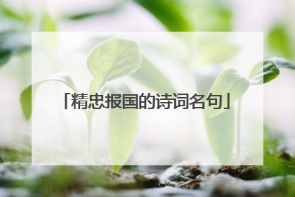 精忠报国的诗词名句