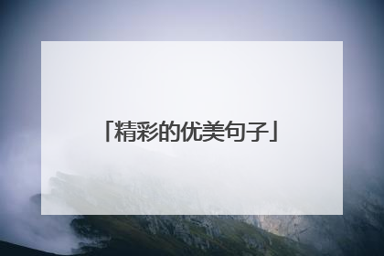 精彩的优美句子