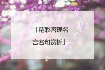 精彩哲理名言名句赏析