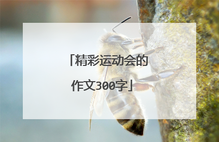 精彩运动会的作文300字