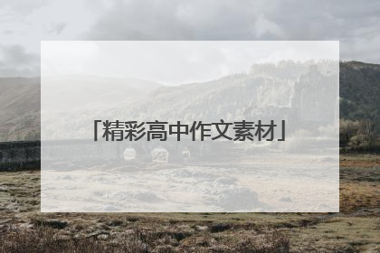 精彩高中作文素材