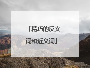 精巧的反义词和近义词