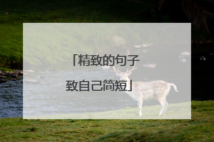 精致的句子致自己简短