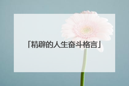 精辟的人生奋斗格言