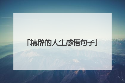 精辟的人生感悟句子