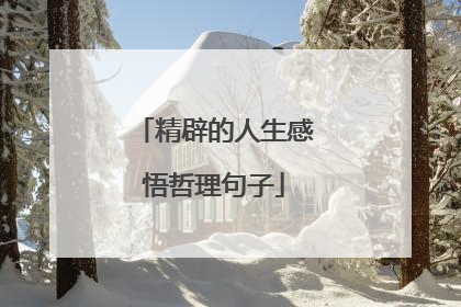 精辟的人生感悟哲理句子