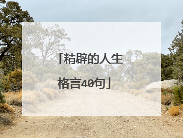 精辟的人生格言40句