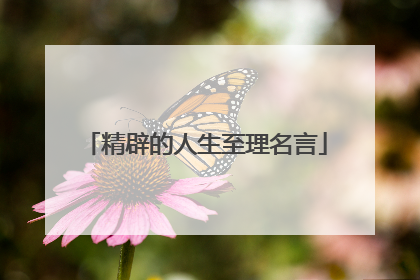 精辟的人生至理名言