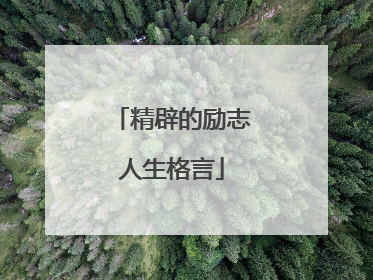 精辟的励志人生格言