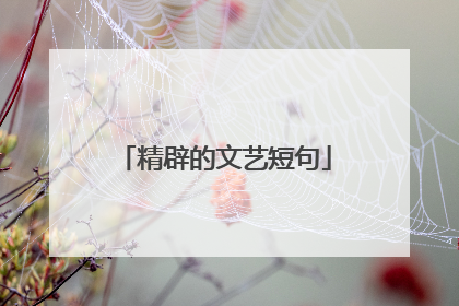 精辟的文艺短句