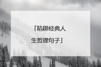 精辟经典人生哲理句子