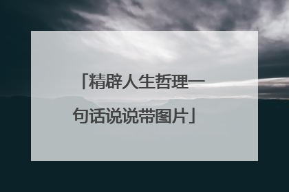 精辟人生哲理一句话说说带图片