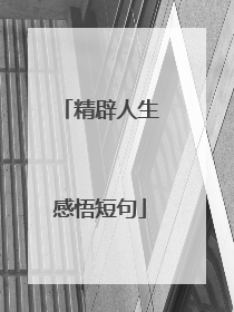 精辟人生感悟短句