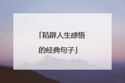 精辟人生感悟的经典句子