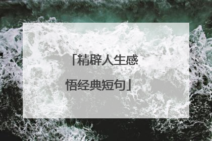 精辟人生感悟经典短句