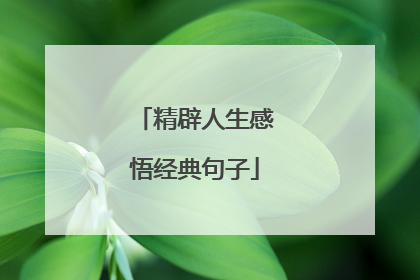 精辟人生感悟经典句子