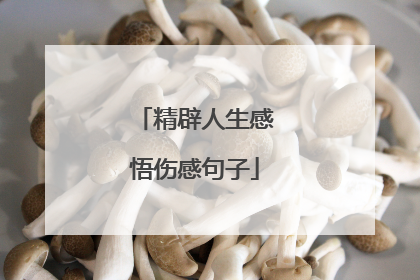 精辟人生感悟伤感句子