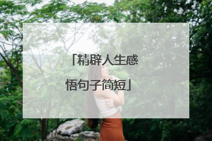 精辟人生感悟句子简短