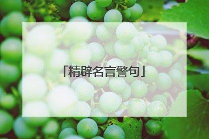 精辟名言警句