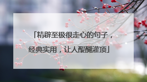 精辟至极很走心的句子,经典实用,让人醍醐灌顶