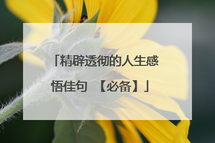 精辟透彻的人生感悟佳句 【必备】
