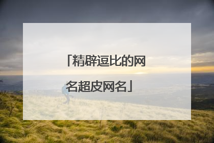 精辟逗比的网名超皮网名
