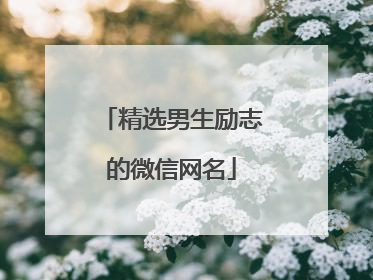 精选男生励志的微信网名