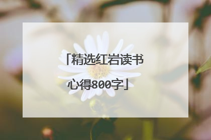 精选红岩读书心得800字