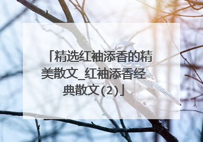 精选红袖添香的精美散文_红袖添香经典散文(2)