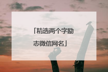 精选两个字励志微信网名