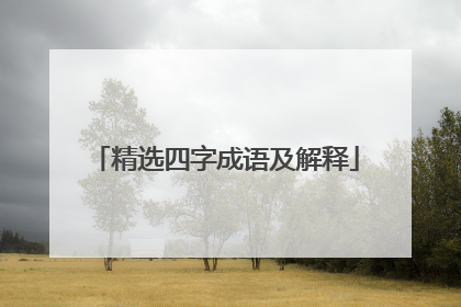 精选四字成语及解释
