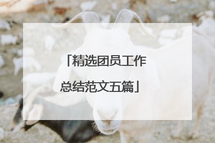 精选团员工作总结范文五篇