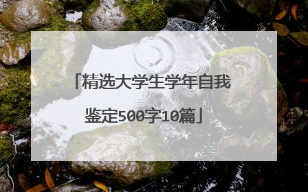 精选大学生学年自我鉴定500字10篇