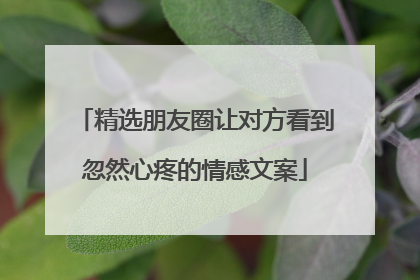 精选朋友圈让对方看到忽然心疼的情感文案