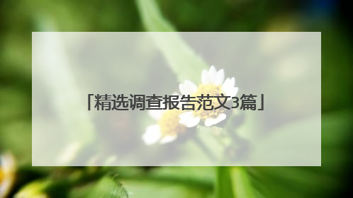 精选调查报告范文3篇