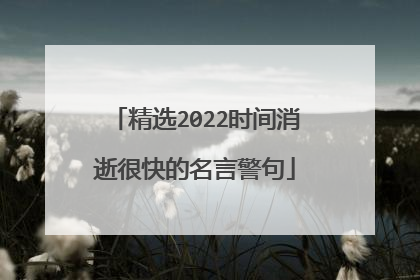 精选2022时间消逝很快的名言警句