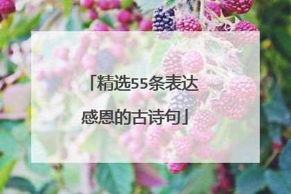 精选55条表达感恩的古诗句