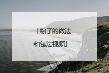 粽子的做法和包法视频