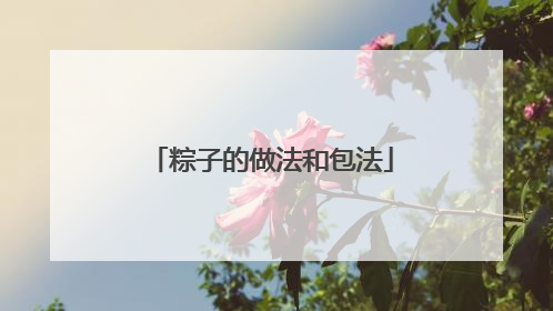 粽子的做法和包法