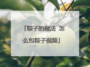 粽子的做法 怎么包粽子视频