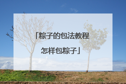 粽子的包法教程 怎样包粽子