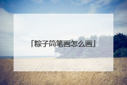 粽子简笔画怎么画