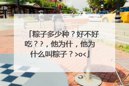 粽子多少种？好不好吃？?，他为什，他为什么叫粽子？>o<
