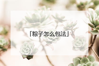 粽子怎么包法
