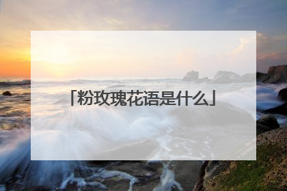 粉玫瑰花语是什么