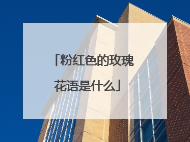 粉红色的玫瑰花语是什么